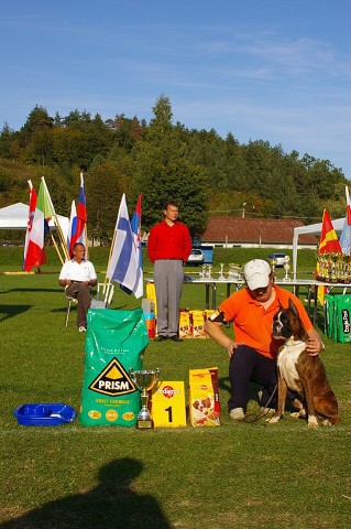 www.boxer-show.eu